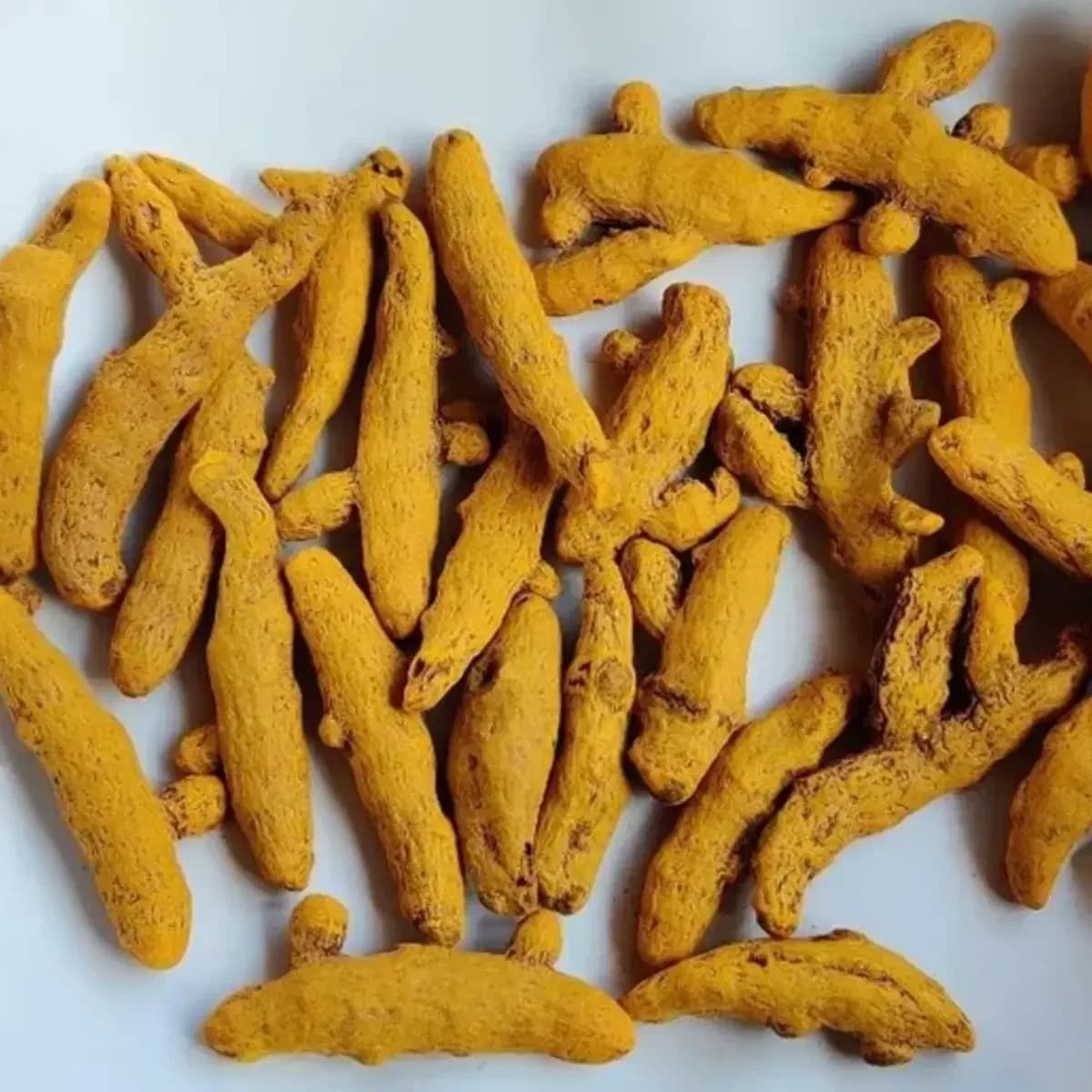 Premium Indian Turmeric Fingers — image 1 of 1
